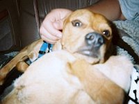 photos 2000-200901031